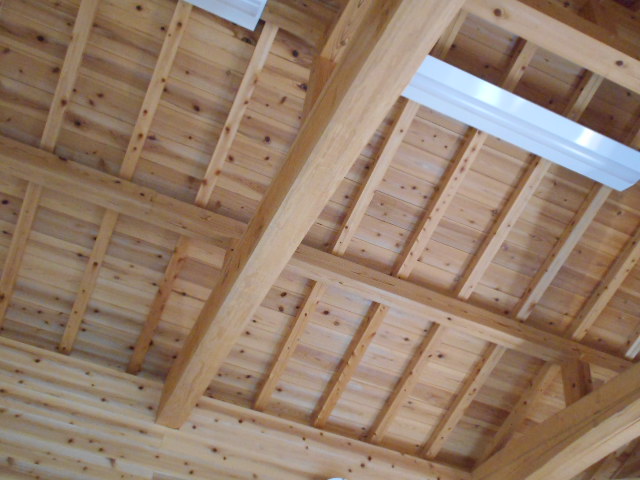 DSCN0252